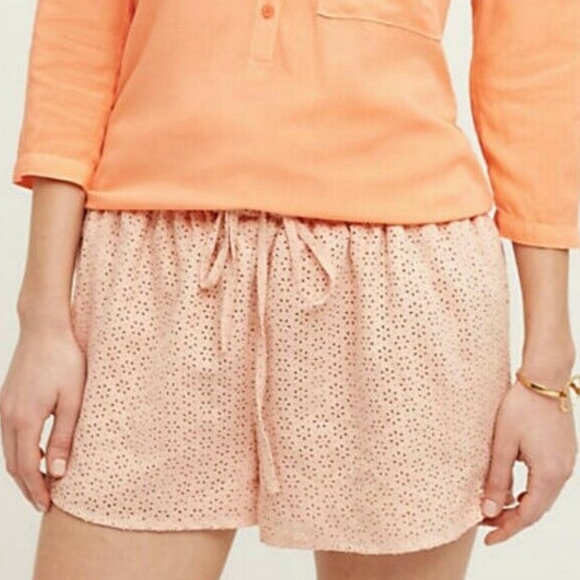 Anthropologie Pants - NWT Anthropologie Palmdale Vegan Leather Shorts